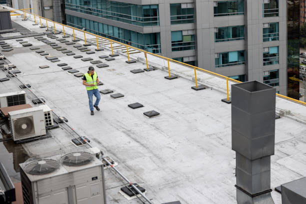 Trusted Somonauk, IL Roofing Service Experts
