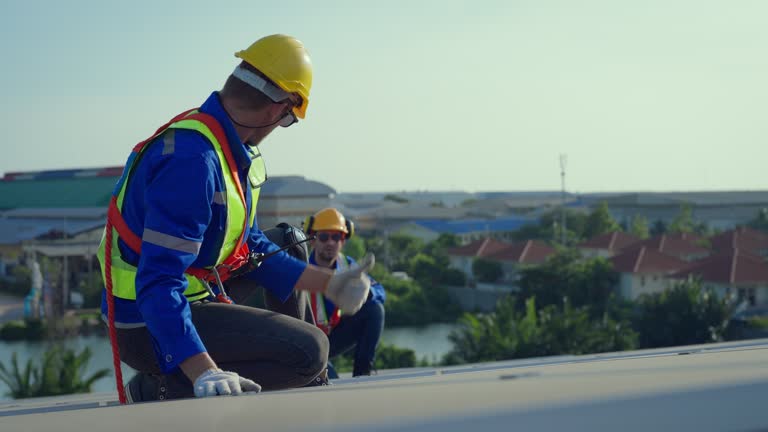 Best Roof Ventilation Installation  in Somonauk, IL