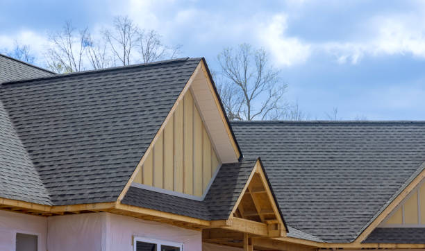Best Asphalt Shingles Roofing  in Somonauk, IL