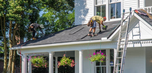 Best Roof Leak Repair  in Somonauk, IL